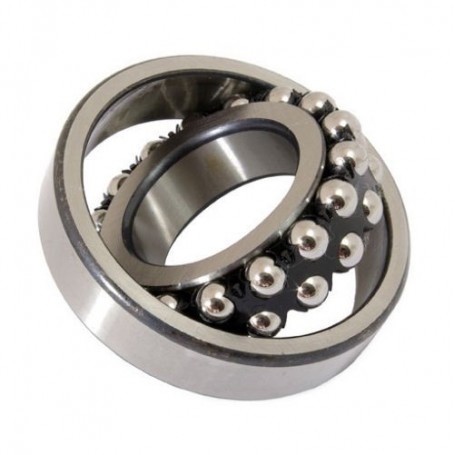 1200 - Roulement à rotule à deux rangées de billes